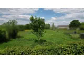 Grond te koop - Beloeil VBC71637