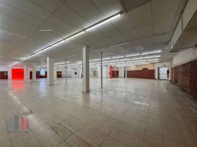 Handelspand te huur Torhout