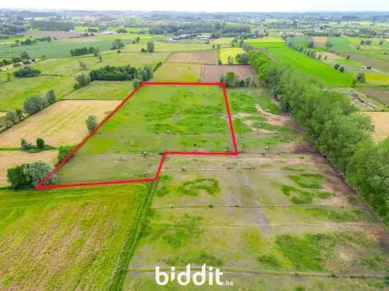 Landbouwgronden te koop
