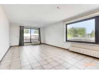 Duplex te koop - Gijzegem RBT82527