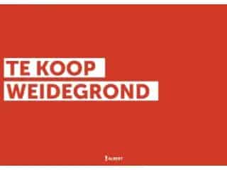 Landbouwgrond te koop - Lede RBS17654