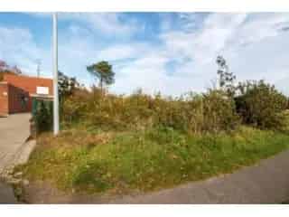 Landbouwgrond te koop - Morkhoven RBS29530