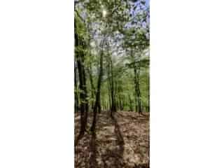 Landbouwgrond te koop - La Roche-en-Ardenne VWD04500