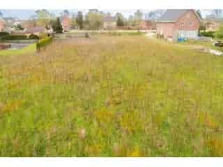 Grond te koop - Geel RBT96124