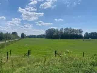 Landbouwgrond te koop - Berlaar RBO76742   In optie