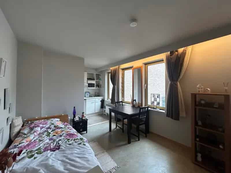 Studio Residentie Het Park - Vlamingenstraat