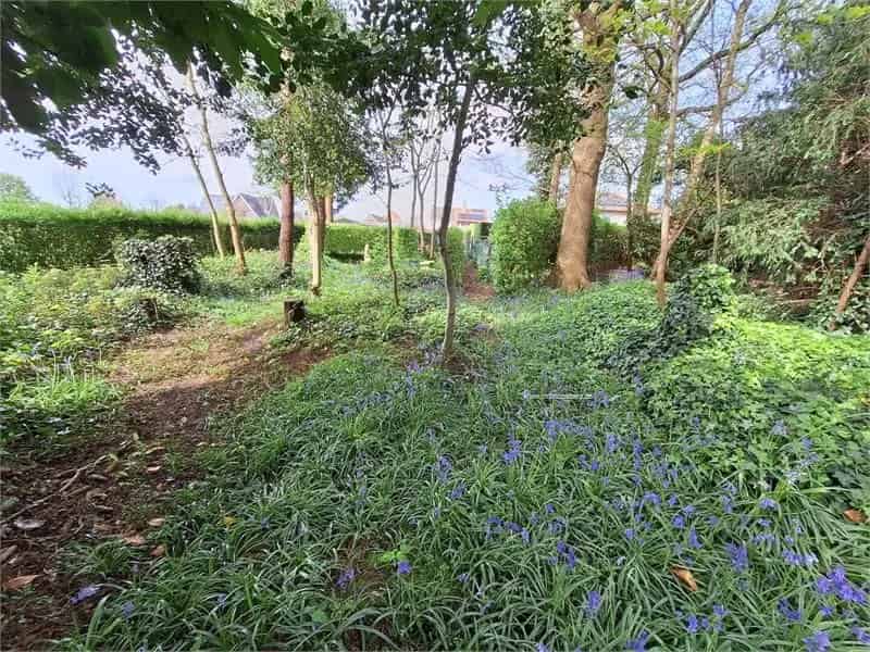 Bouwgrond te koop Maldegem