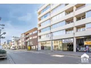 Handelspand te koop - Turnhout RBS88631