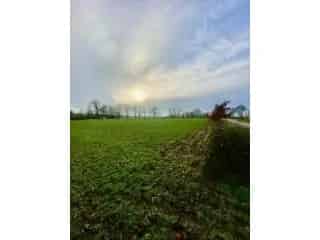 Industrie te koop - Antwerpen RBT08010