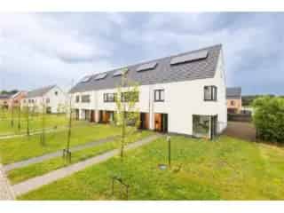 Project: Woonerf Zittaart te Meerhout - Meerhout 1485771-01267921_OM_261165