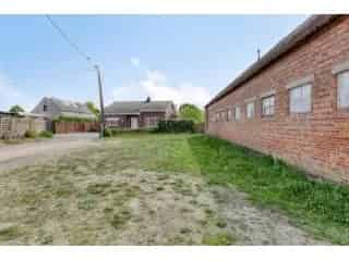 Handelspand te koop - Balen RBT29057   In optie