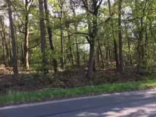 Landbouwgrond te koop - Minderhout RBS91300