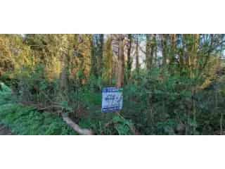 Landbouwgrond te koop - Brakel RBT03546