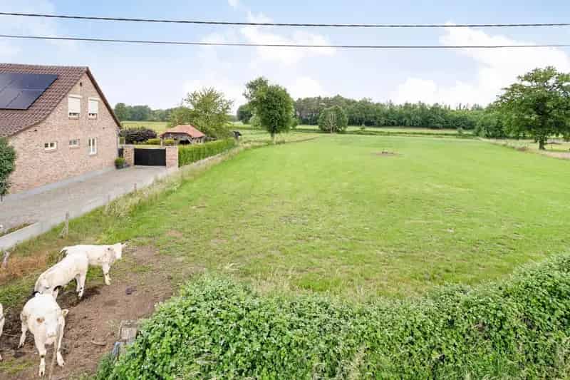 Bouwgrond voor open bebouwing te koop in Tessenderlo