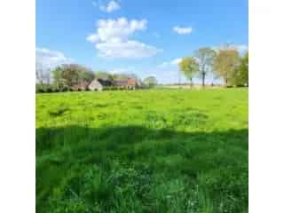 Bouwgrond te koop - Ormeignies VWD13421