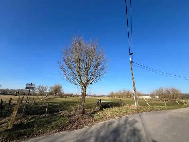 Weide op +/- 80 are en niet verpacht!