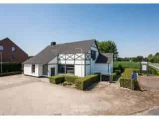 Handelspand te koop - Lembeke RBT95815