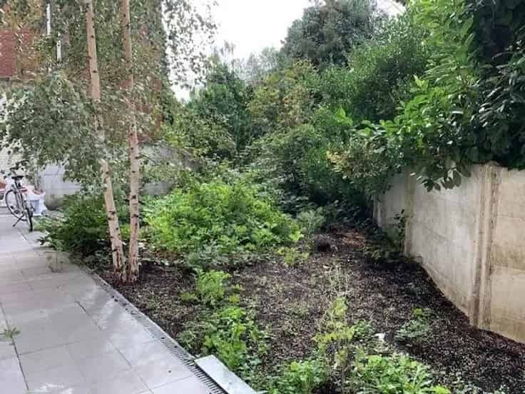 Appartementsgebouw Te Koop Borgerhout 8 Units