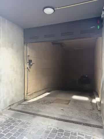 Terre-Neuve 46