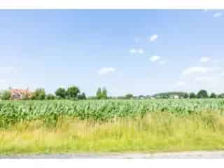 Verkavelingsgrond te koop - Deinze RBT83533