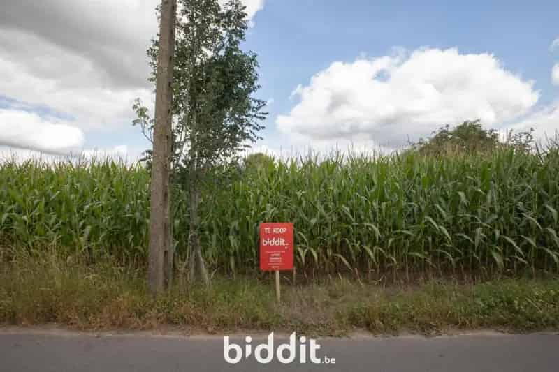 LANDBOUWGROND TE RUDDERVOORDE
