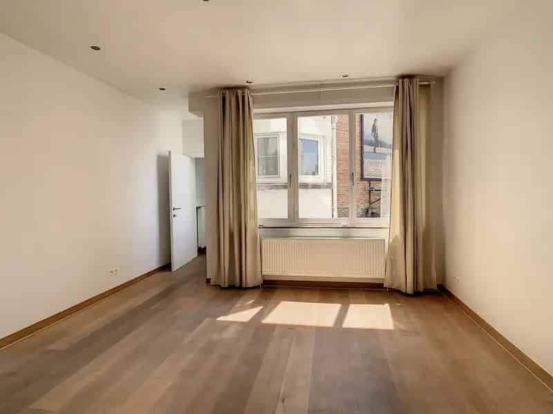 Gerenoveerd 1 slaapkamer appartement aan de ring van Leuven!