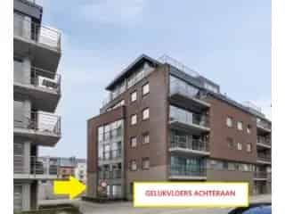 Gelijkvloers te koop - Ninove RBT09104