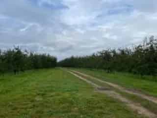 Landbouwgrond te koop - Loksbergen RBO05903
