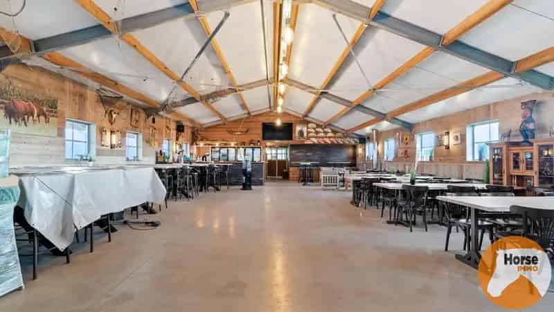 DAMME – Instapklare paardeneigendom, piste en extra woonhuis