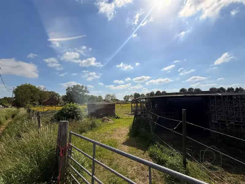 Landbouwgrond in Boortmeerbeek - paardenweide - 2,5 ha