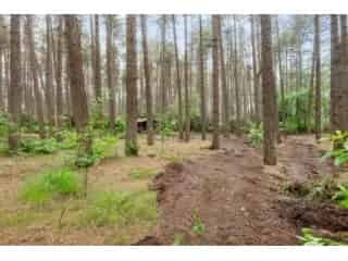 Chalet te koop - Gierle RBT15247