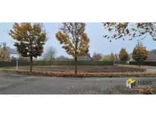 Grond te koop - Kalmthout RBS94467