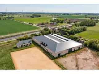 Handelspand te koop - Oudenburg RBT45162