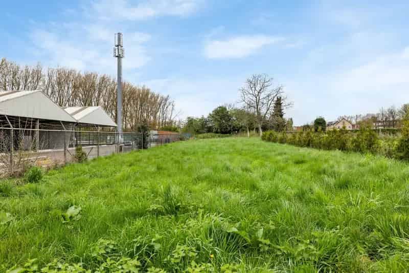 Luxueus gerenoveerde (2025) woning bijgebouw & ruime tuin in Zwijndrecht