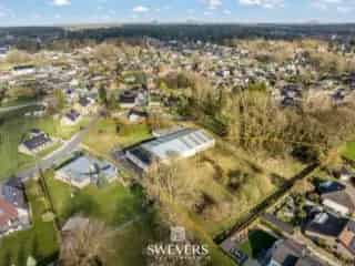 Handelspand te koop - Houthalen-Helchteren RBT03666
