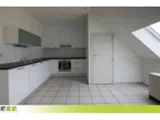 Appartement te koop - Maaseik RBT27527