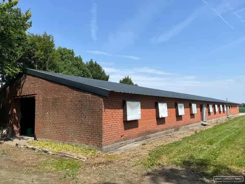 Loods van 305 m²  te huur voor opslag in Waregem