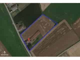 Boerderij - hoeve te koop - Spiere-Helkijn RBO81092