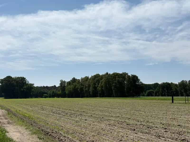 Mooi perceel weiland van 3.320 m², gelegen in Bel !