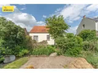 Huis te koop Ormeignies - Gelijkvloers met zolder en garage