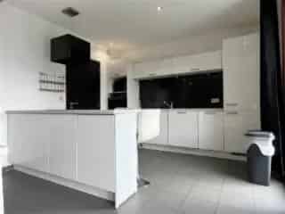 Huis te huur - Templeuve VBC62385