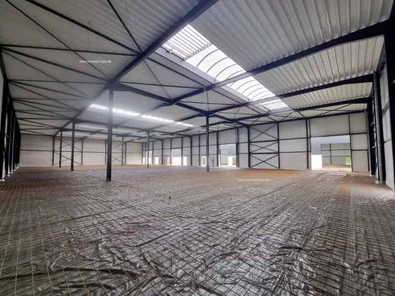 Nieuwbouw industrieel gebouw te huur in Buggenhout