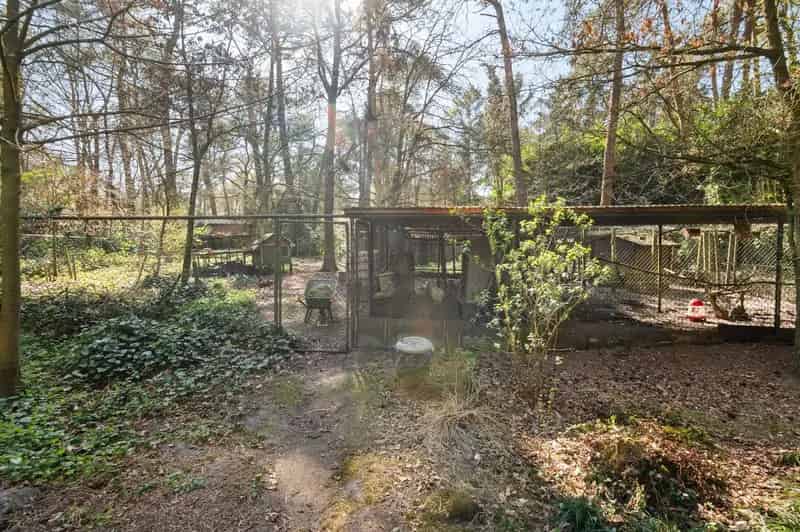 Charmante bungalow op een perceel van 2.485m²
