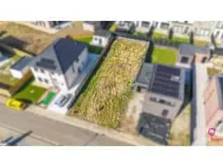 Grond te koop - Heusden-Zolder RBS90527   In optie