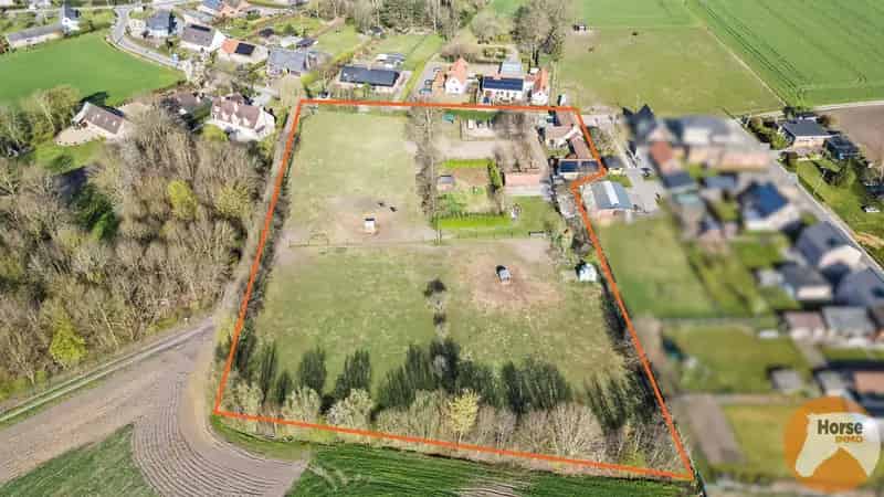 BERLARE - Instapklare woning met stallen en weides