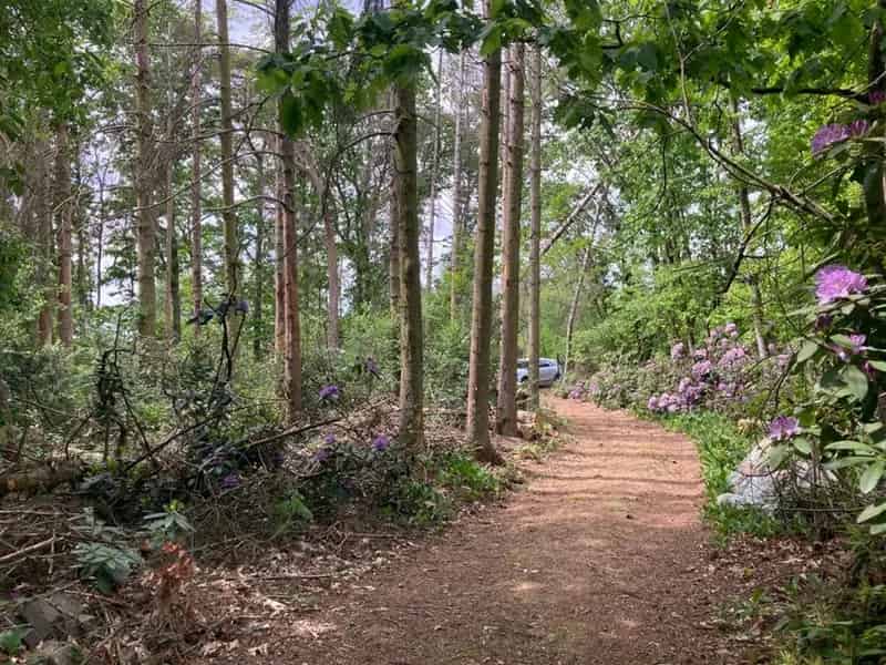 Recreatiegrond van 2870 m² in Gierle