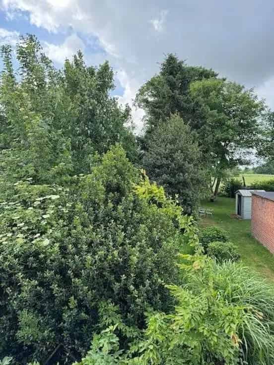 Huis Te Koop Zeveneken: Ruime Bel-etage met Tuin en Potentieel