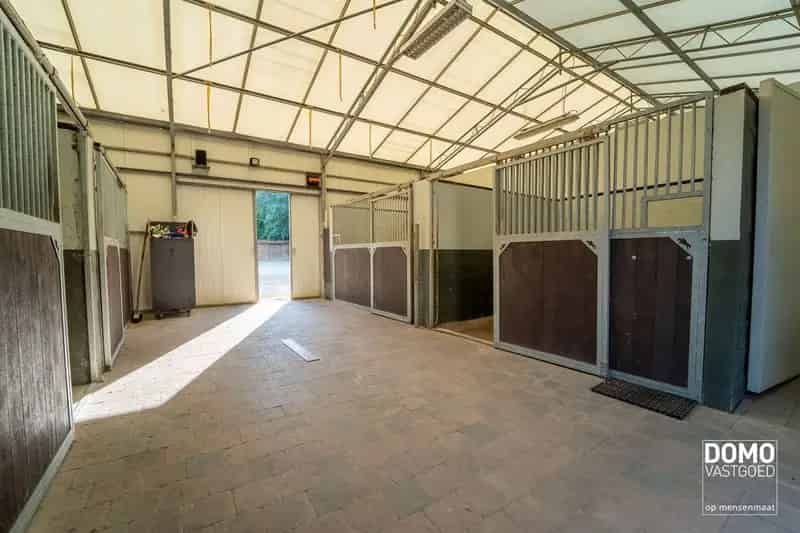 Ruime villa met paardenaccommodatie gelegen te Herk-de-Stad - EPC-label: B - Bewoonbare vloeroppervlakte: 296m²