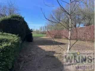 Bouwgrond te koop - Koningshooikt RBT11771