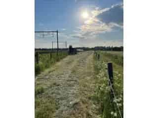 Landbouwgrond te koop - Warchin VBC81601